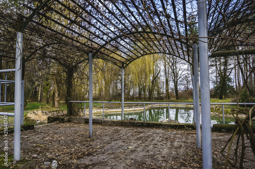 nature, Botanical garden