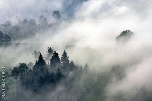 Foggy highlands of the Carpathians