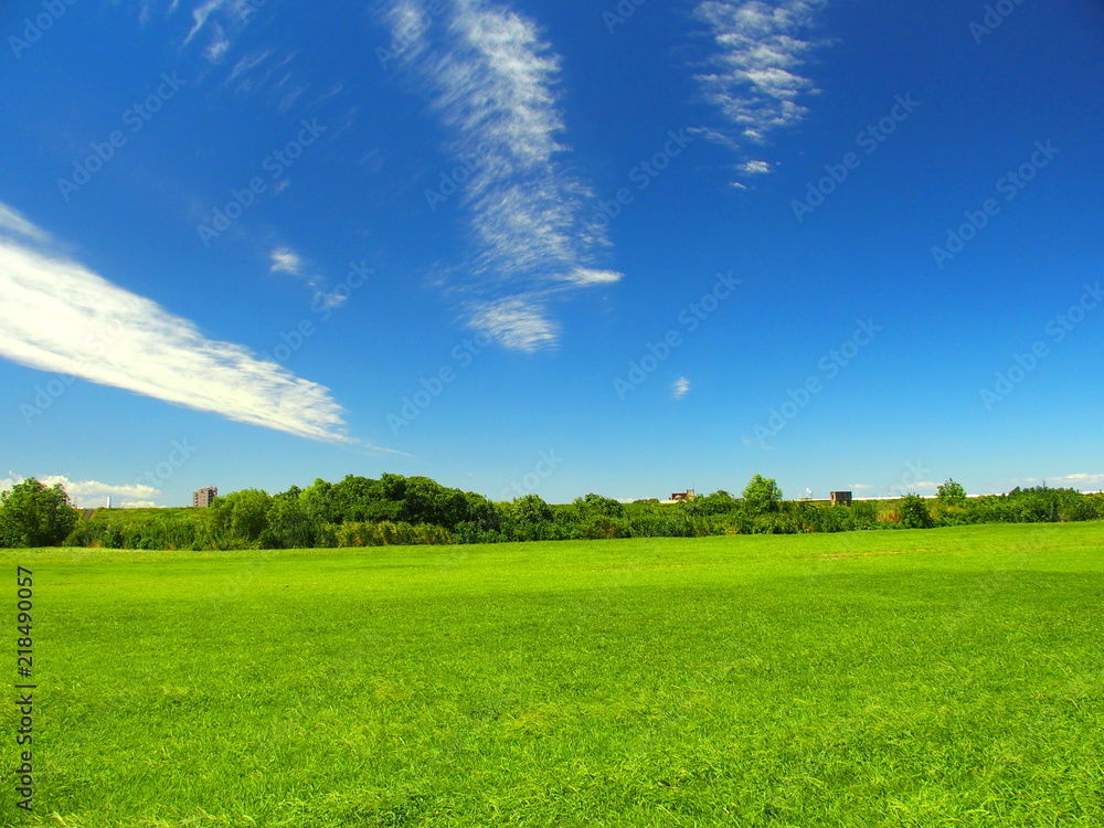 Obraz premium 夏の江戸川河川敷風景