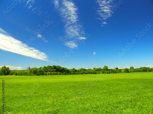 夏の江戸川河川敷風景