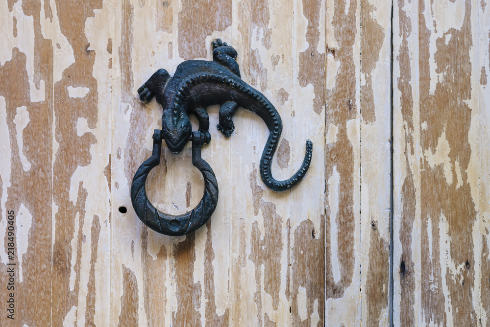 door knocker in the form of a lizard on an old wooden door - Cartagena / Colombia door knocker in the form of a lizard on an old wooden door - Cartagena / Colombia