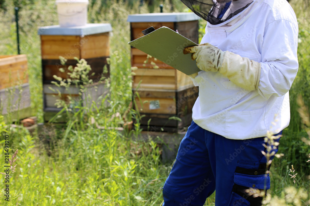 Imker arbeitet an seinem Bienenstock Imker arbeitet an seinem Bienenstock
