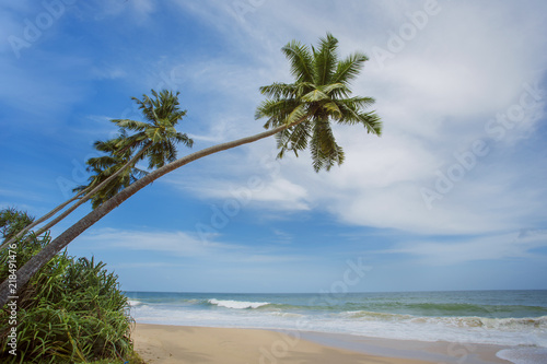 Untouched tropical beach