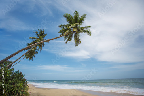 Fototapeta Naklejka Na Ścianę i Meble -  Untouched tropical beach
