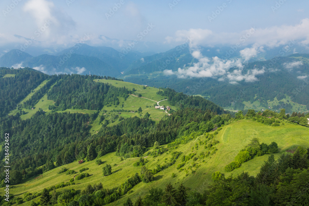 Meadow in Alps mountains near Drazgose, Carniola, Slovenia