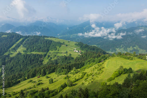 Meadow in Alps mountains near Drazgose  Carniola  Slovenia