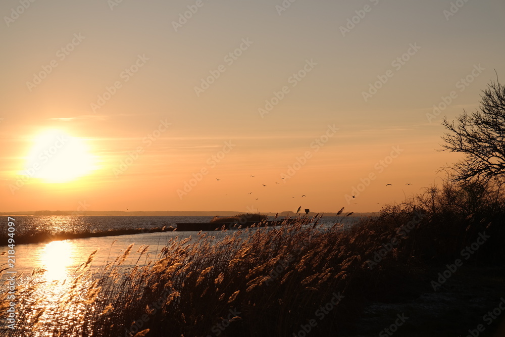 Obraz premium a beautiful sunset at the coast of usedom