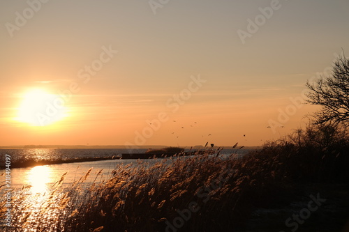 a beautiful sunset at the coast of usedom