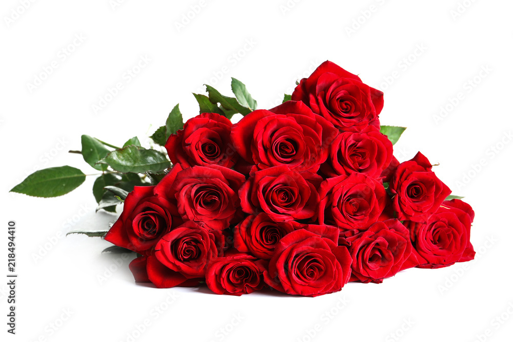 Obraz premium Piękna czerwieni róża kwitnie na białym tle