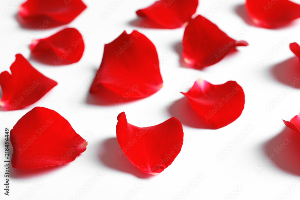 Beautiful red rose petals on white background Beautiful red rose petals on white background