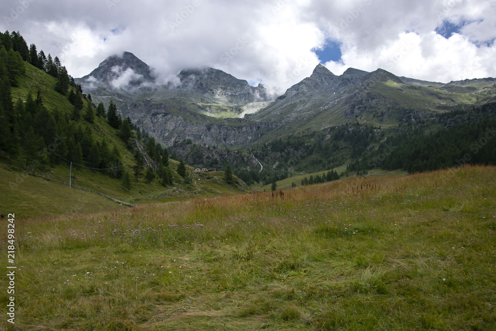 beautiful mountain landscape with green pine forest and sad sky beautiful mountain landscape with green pine forest and sad sky