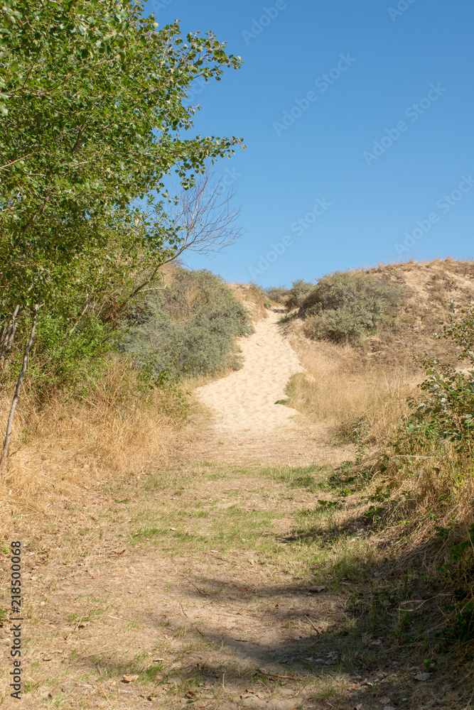 Dune Marchand in Frankreich