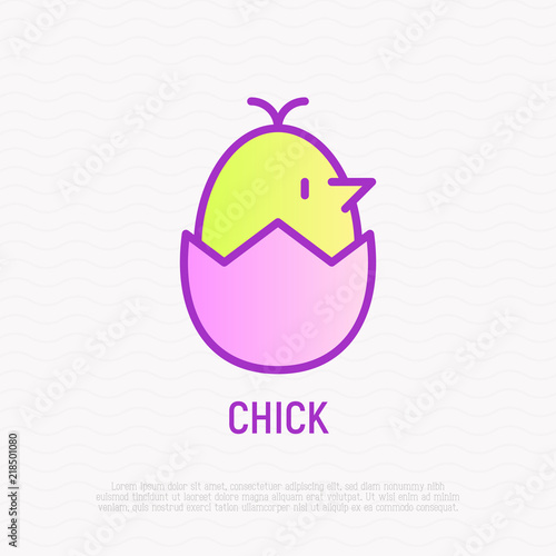 Cute chick in egg thin line icon. Modern vector illustration.