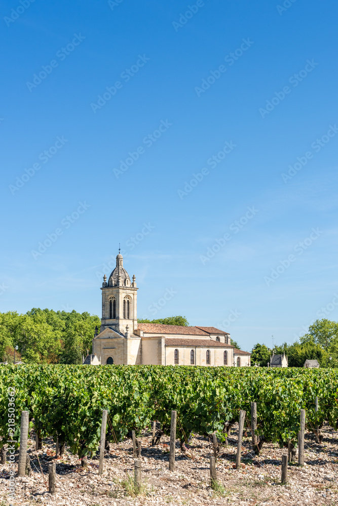 MEDOC (France), vignes dans le village de Margaux
