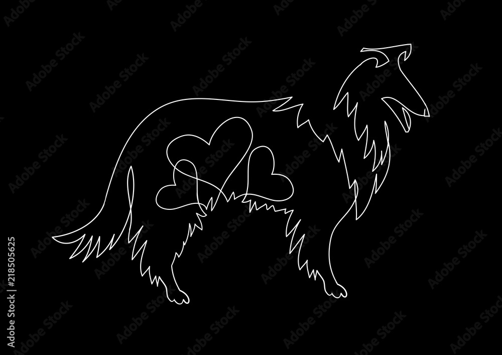 Obraz premium Dog . Collie illustration drawn freehand.