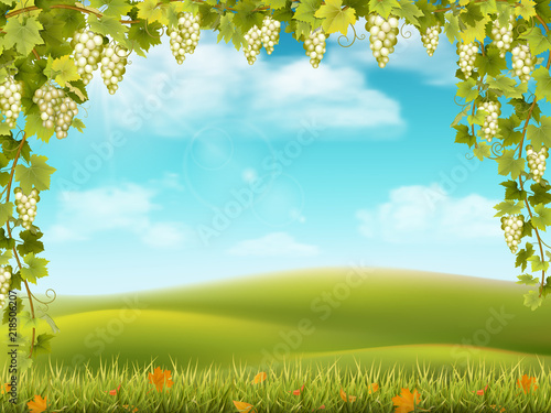 Bunches of grapes like frame on the background of the rural landscape with valley  hills and sky. Vector illustration about the harvest and winemaking.