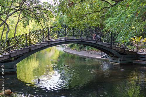 Curved bridge over water in park
