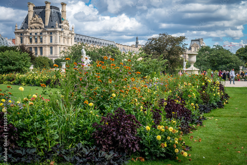 Fototapeta premium fleurs jardin tuileries paris