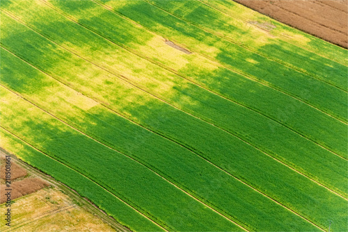 vue aérienne de champs dans la Marne en France
