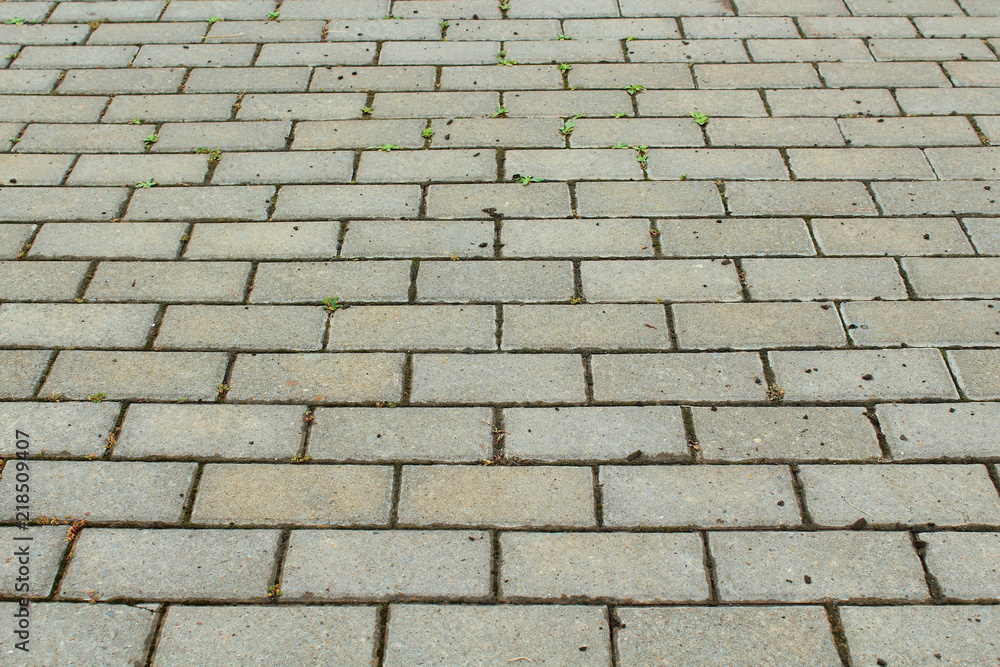 Sidewalk paving stones close-up. Horizontal view. Background. Texture.