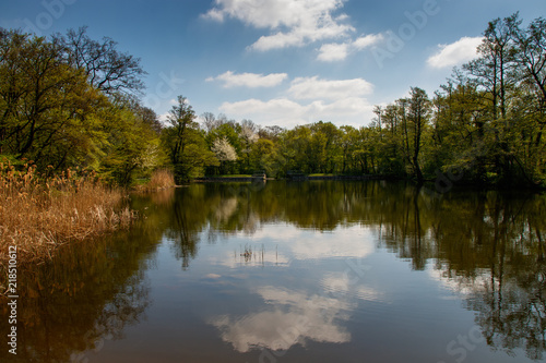 lake surrounded by trees with clouds refelecting on the surface