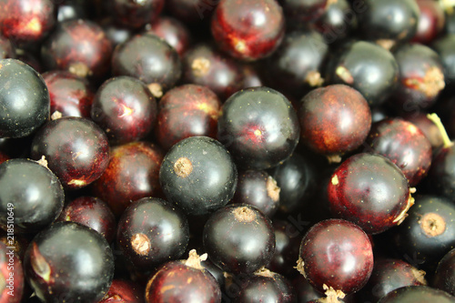 Freshly collected black currant. Close-up. Background. Texture.