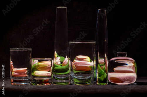 Quadro su tela tulips behind water filled glasses
