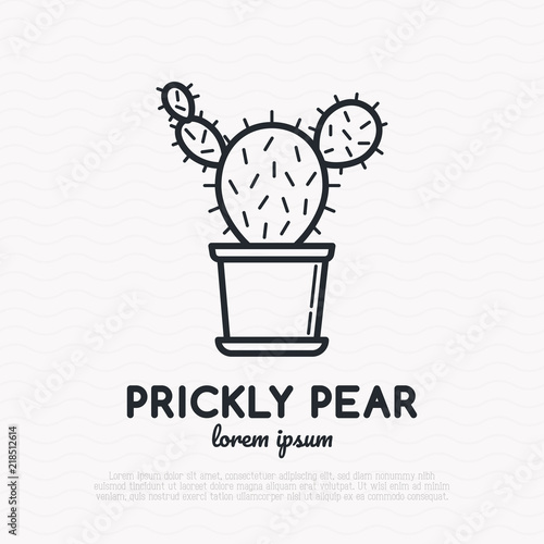 Cactus in pot thin line icon. Modern vector illustration of home plant.