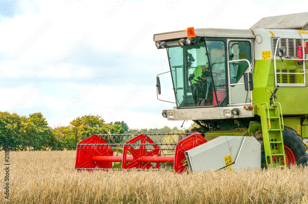 Fototapeta premium Getreideernte