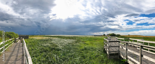 Panorama of wetlands
