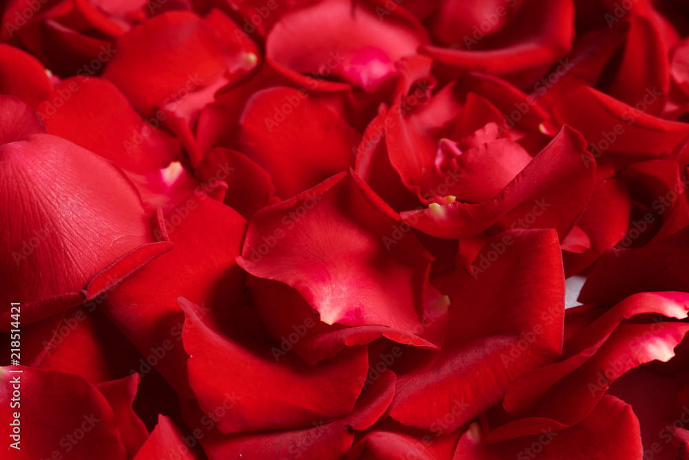 Beautiful red rose petals as background, closeup Beautiful red rose petals as background, closeup