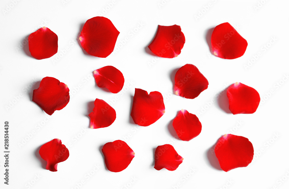 Naklejka premium Red rose petals on white background, top view