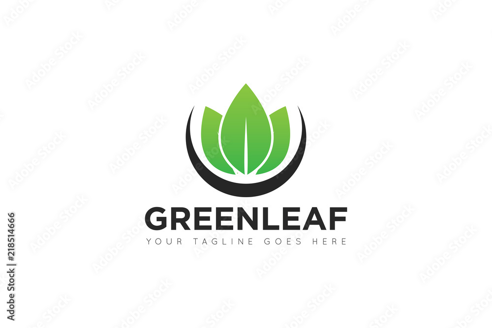 leaf logo and icon Vector design Template leaf logo and icon Vector design Template