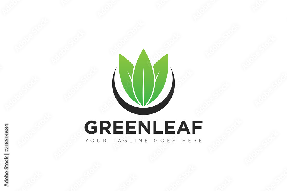 leaf logo and icon Vector design Template leaf logo and icon Vector design Template