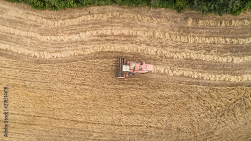 Thresher farming in golden wheat field. Aerial view of threshing machine working in Italy.