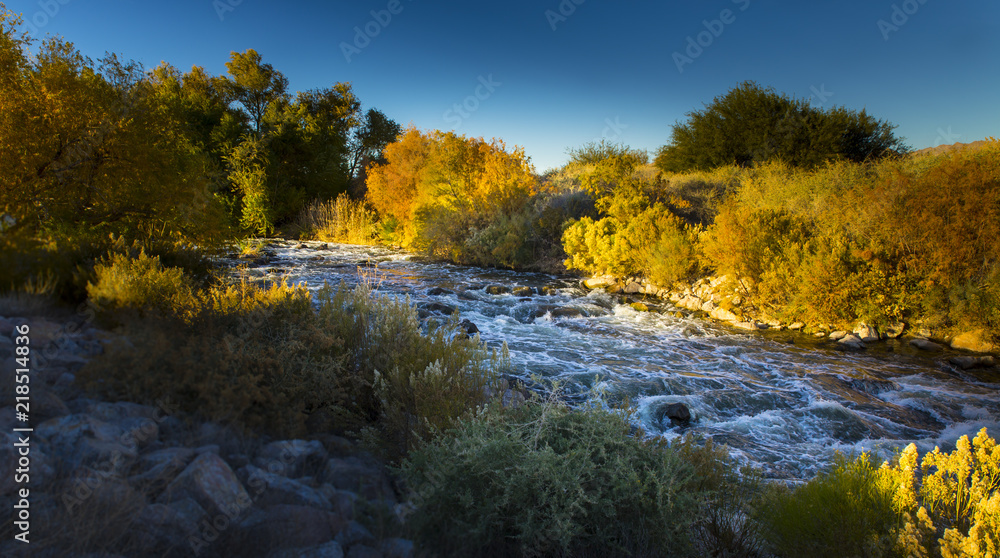 Raging River Raging River