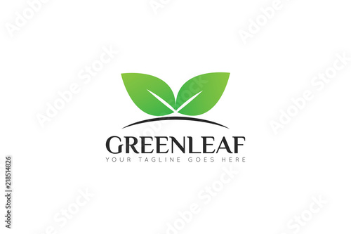 leaf logo and icon Vector design Template