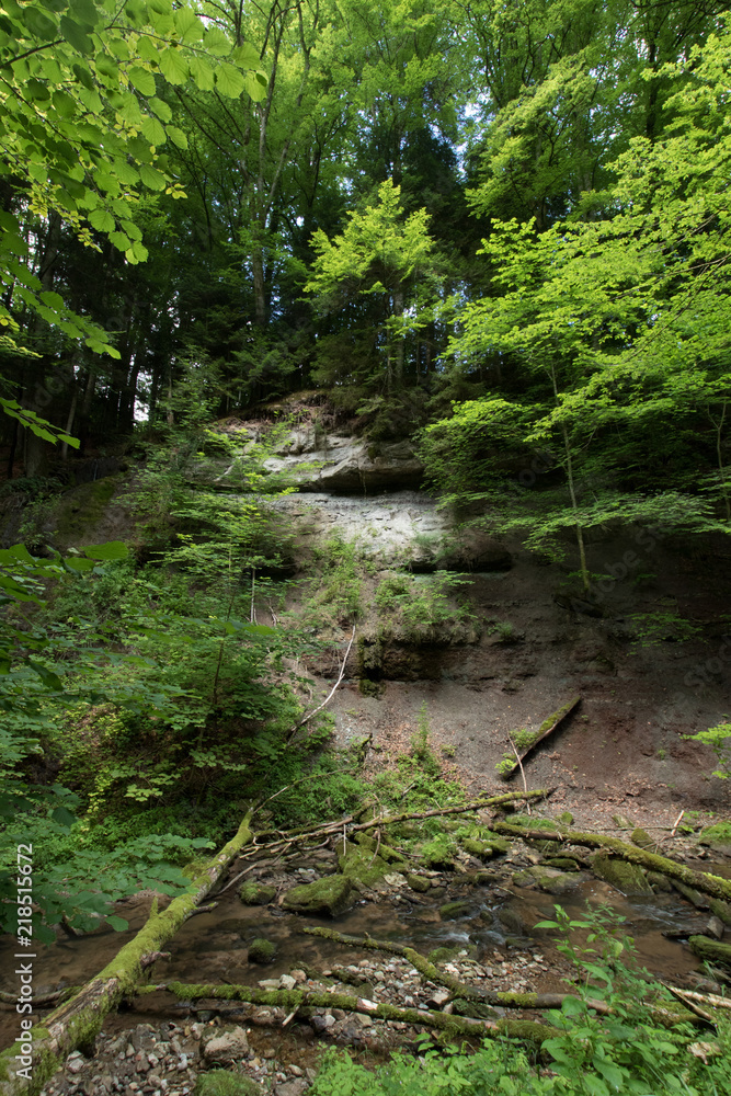 Obraz premium Wieslaufschlucht