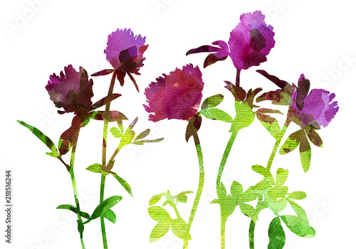 watercolor silhouettes of wild flowers