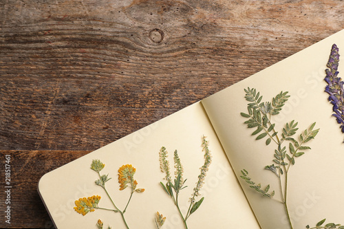 Wild dried meadow flowers in notebook on wooden background, top view