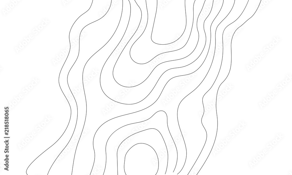 The stylized height of the topographic contour in lines and contours. The concept of a conditional geography scheme and the terrain path. Vector illustration.