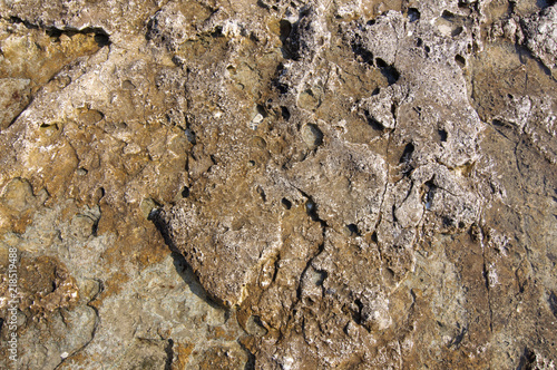Surface of sea stone  structure  texture. Background