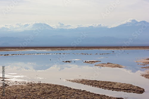 Desert landscape with snow peaks mountains of San Pedro de Atacama  Chile  South America. Colorful panoramic landscape with reflection in lagoon after the rain.
