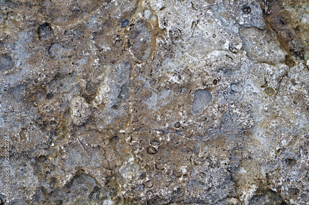 Fototapeta premium Surface of sea stone, structure, texture. Background