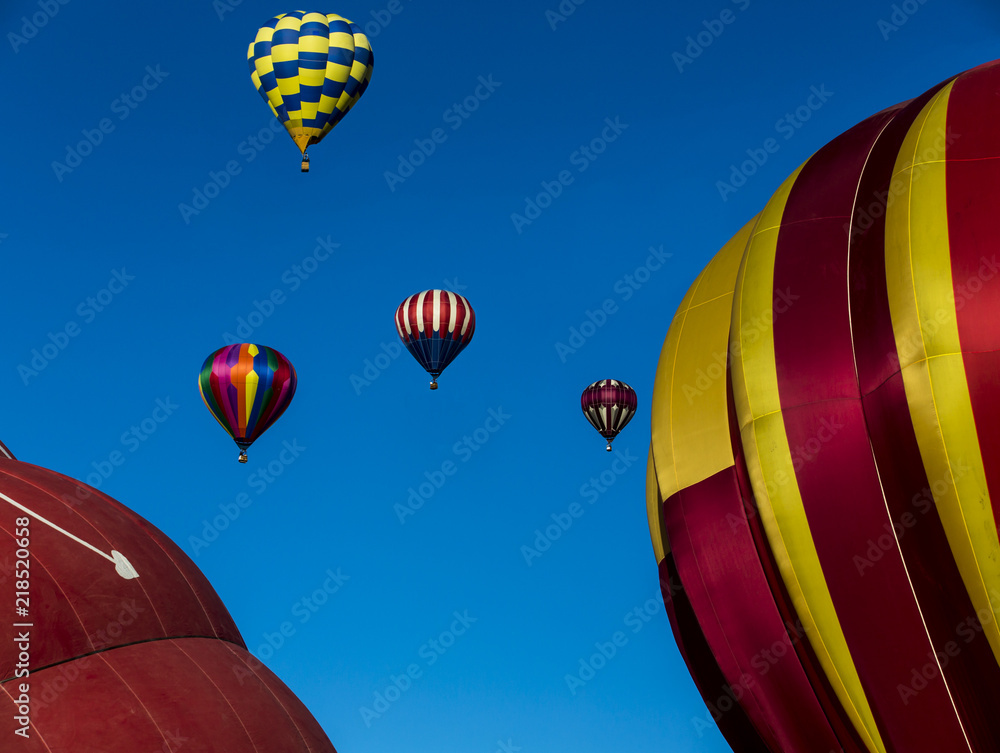 Obraz premium Hot Air Balloons 