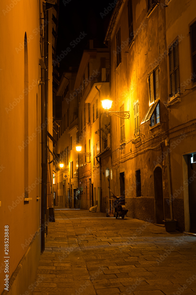 Alley in the City of Sestri Levante at Night