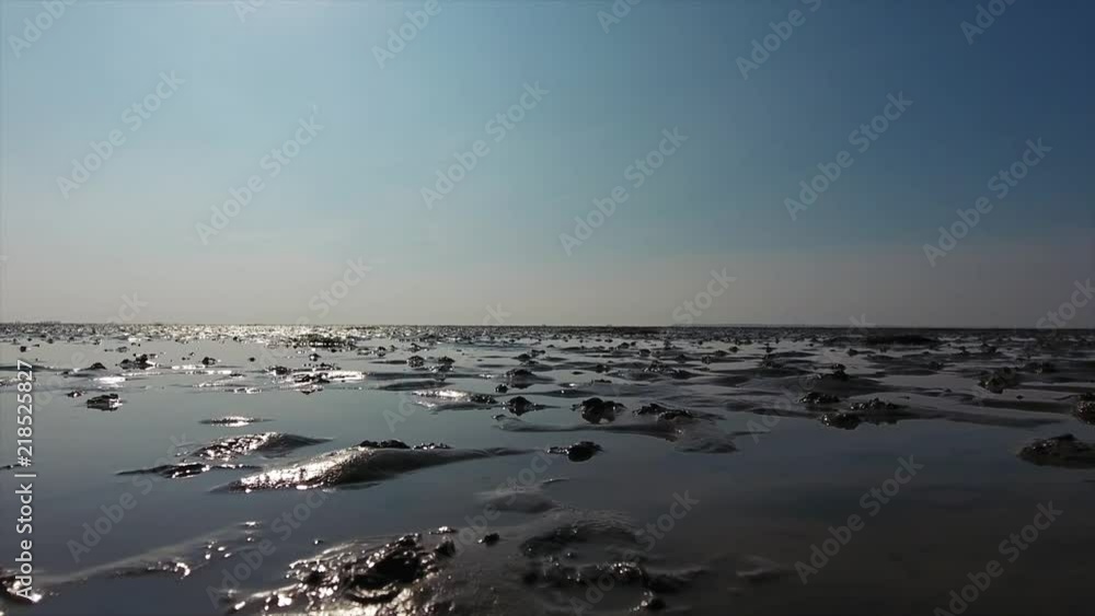 AERIAL: Hike to Halling Oland in the Wadden Sea on a sunny day AERIAL: Hike to Halling Oland in the Wadden Sea on a sunny day