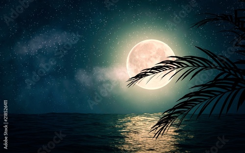 Sea with stars and full moon 3d illustration photo