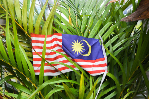 Malaysian Flag (Jalur Gemilang) photo