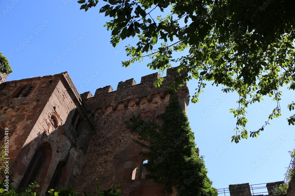 Chateaux fort